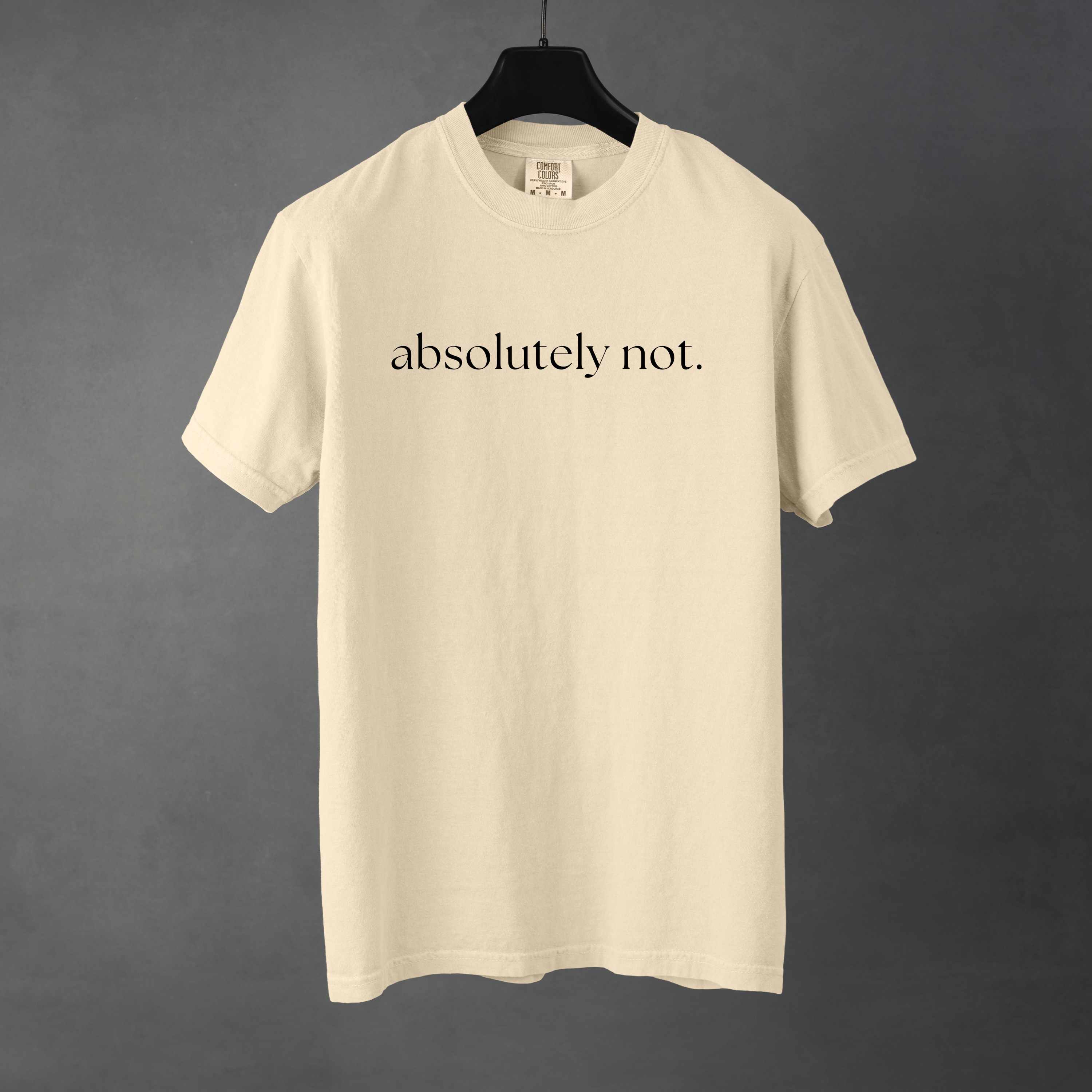 Sarcastic funny ivory graphic t-shirt with bold text saying 'Absolutely not'